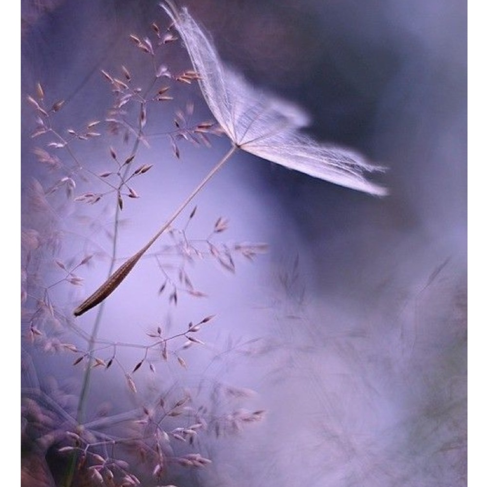 Meet your Posher, Nayve